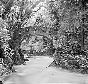 "Bridge of one rounded arch over river in woods, seven bosses round arch" = Foley's Bridge, Tollymore (9248163576)