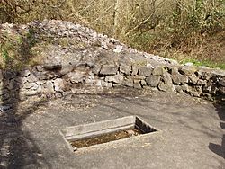"Fulacht Fiadh" cooking pit, Irish National Heritage Park - geograph.org.uk - 1255093