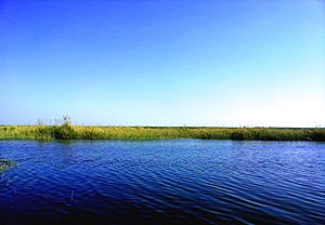 بحيرة مريوط (Mariout lake)