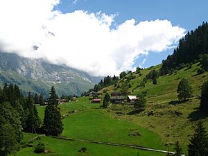 6055 - Gadmertal - View from Triftbahn