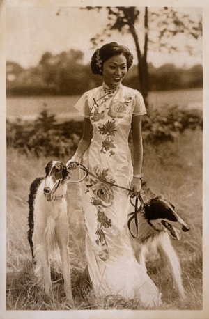 A Chinese woman wearing traditional qipao standing in the bushland with two borzoi dogs in the bushland of Bendigo, Victoria, Australia, 1930