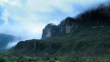 A Waterfall after the rain. Mount Roraima. Roraima Tepuy