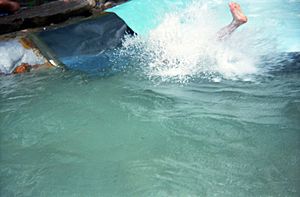 Action Park (3000196846)