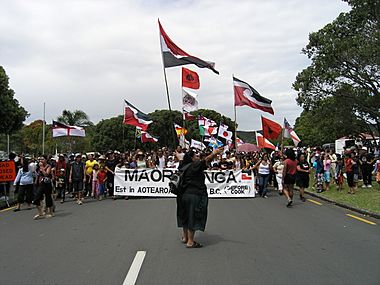 Annual Maori protest 1 - Waitangi Day