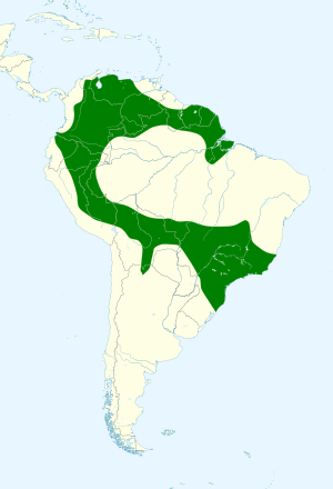 Anoura caudifer map.svg