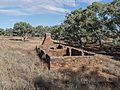 Appealinna Ruins, Flinders Ranges 20230211 2