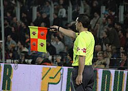 Assistant referee 15abr2007