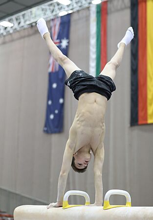Austrian Future Cup 2018-11-23 Training Afternoon Pommel horse (Martin Rulsch) 327