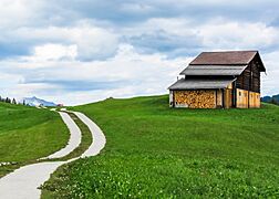 Barn with firewood in Tenna (north view)