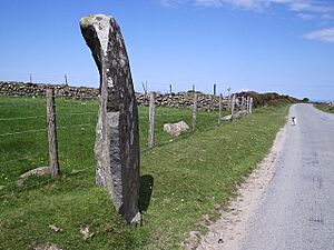Bedd Morris standing stone - geograph.org.uk - 315049