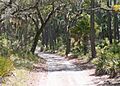 Big Bend Scenic Byway - St. Vincent National Wildlife Refuge - NARA - 7717310
