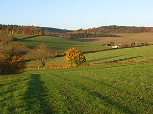 Bix Bottom - geograph.org.uk - 1049492.jpg