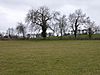 Boddington Meadow