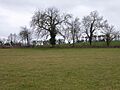 Boddington Meadow 2