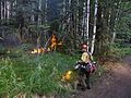 Boreal forestfire