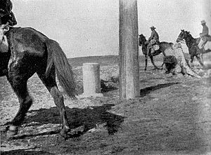 Boundary pillars on the Sinai-Palestine frontier during World War I