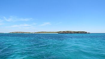 Carnac Island, Western Australia, seen from the east, November 2023 05.jpg
