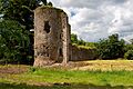 Castles of Munster, Kilbolane, Cork - geograph.org.uk - 1392690