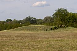 Cheskiki-mound-tn1