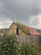 Cugir-multi-function-roof2