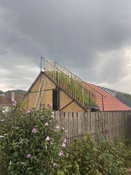 Cugir-multi-function-roof2