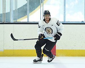 David Pastrnak(32) Providence Bruins
