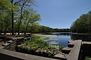 DayPondSP PondView
