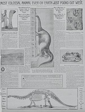 Discovery of Dippy the Diplodocus, announced in the New York Journal and Advertiser