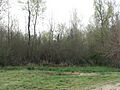 Dogtooth Bend Village Site