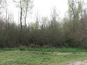 Dogtooth Bend Village Site