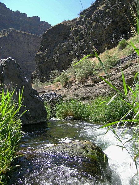 Douglas Creek (33182727821)