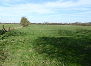 Dungee Corner Meadow 1.jpg