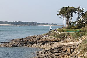 Entre Golfe Morbihan