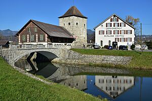 Grynau - Friedgrabenkanal 2015-11-10 14-17-24