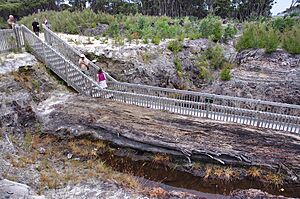 Gumdiggers Park walk