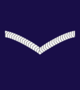 HKACC Cadet Lance Corporal.png