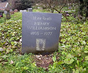 Henry Williamson grave Georgeham 2018