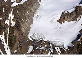 Humes Glacier on Mount Olympus, Olympic National Park.jpg