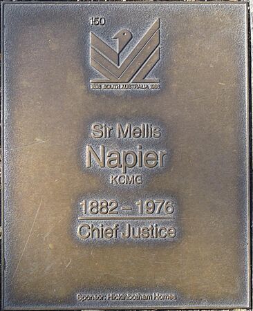 J150W-Napier