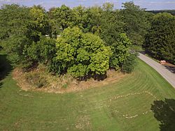 Jeffers Mound from the air.jpg