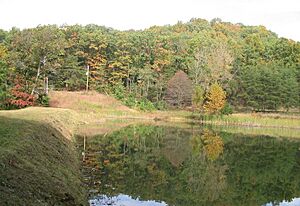 Jefferson Memorial forest 5