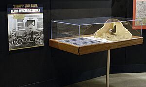 John Silver national museum
