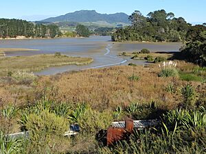 Kaitoke Creek, Raglan