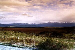 Kepler Mire - Dead Marshes