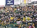 Koshien-tigers