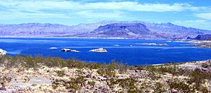 Lake Mead Nevada1