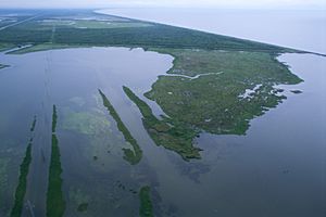 Louisiana wetlands aerial view