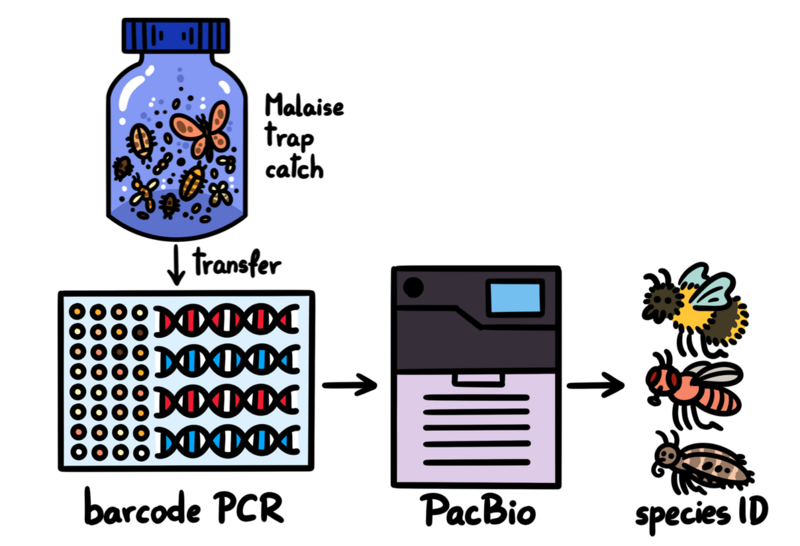 Megabarcoding
