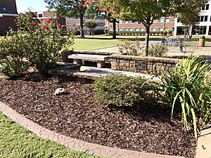 Memorialunitygarden
