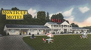 Montique's Motel in Donegal, 1954